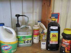 lot 129 image: tiki torch fuel, fire ant killer, outdoor bleach, tire sealant and more