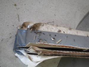 lot 263 image: various new strips of aluminum corner trim