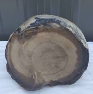 lot 23 image: Chunk of the Moon--Just Kidding--Not sure what kind of rock this is but it looks cool.. Agate Geode Maybe