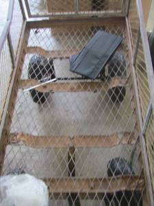 lot 332 image: METAL WAGON WITH Collapsible sides with handle