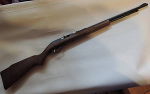 lot 20 image: MARLIN FIREARMS  22LR RIFLE MODEL 60 MICROGROOVE SN 02192780
