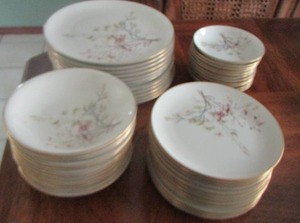 lot 142 image: Embassy Vitrified China 12 saucers, 13 dinner plates, 11 berry bowls, 12 salad bowls - 48 PCS