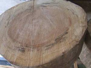 lot 5 image: LARGE WOOD TREE SLICE SYCAMORE  Size 36D X 17 USED FOR A GAME  BUT WOULD MAKE A COOL TABLE
