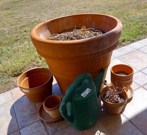 lot 494 image: Assorted terra cotta flower pots and water container