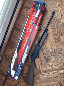 lot 541 image: Crosman Pumpmaster 760 bbpellet rifle