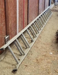 lot 283 image: 16 Telescoping Extension Ladder