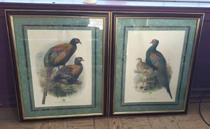 lot 311 image: Framed Pheasant prints set of two