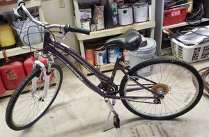 lot 478 image: Schwinn clear creek mountain bike