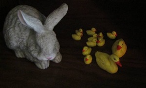 lot 84 image: Rabbit dcor- 2 yellow mom ducks with 10 baby ducks