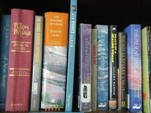lot 96 image: Book lot- plains of pation- present darkness- shelters of stone and more