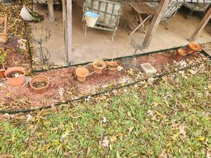 lot 197 image: Selection of pots in backyard