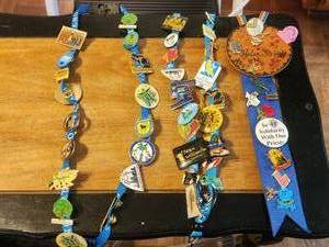lot 215 image: Generous selection of collectible pin backs