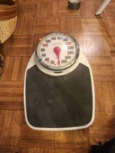lot 282 image: Taylor professional scale