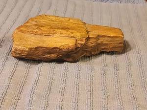 lot 250 image: Piece of petrified wood