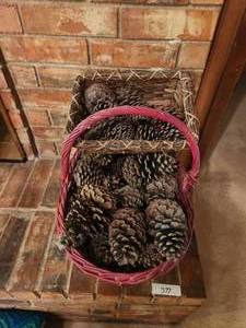 lot 377 image: 2 baskets full of pine combs