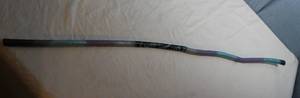 lot 232 image: Hand Painted Walking Stick by Local Artist
