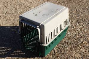 lot 258 image: Remington Plastic Dog Kennel 23 High 20 Wide and 24 Long