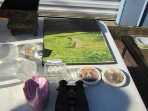 lot 77 image: Bear and moose coasters- painted metal bird planter- binoculars and more