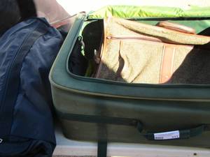 lot 111 image: Luggage& clothing bag lot