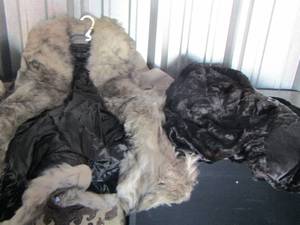 lot 43 image: Caves Fine Fur Womens Coat, dyed pig suede