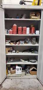 lot 298 image: Industrial Cabinet w Contents.  Lots of F350-F550 Filters & Misc Parts
