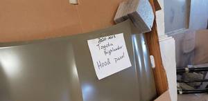 lot 262 image: 2020-2023 NEW Toyota Highlander Hood