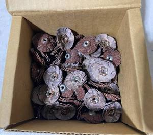 lot 29 image: 1 Spin-on Overlap Sanding Discs, Grit50 - In Quantity & Condition As Shown