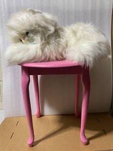 lot 134 image: Soft & Fluffy White Stuff Cat with Pink Table, 20 12 x 20 12 - In Condition As Shown
