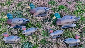 lot 123 image: Seven (7) Floating Duck Decoys by Flambeau
