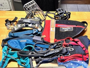 lot 169 image: Huge Lot of Dog Muzzles, Harnesses, &amp Leashes - Including Carhart Working Dog&nbsp