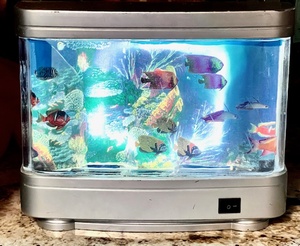 lot 214 image: Lightahead Living Aquarium Nightlight