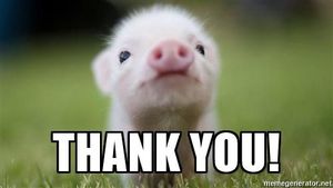 lot 301 image: THATS ALL FOLKS &nbspTHANK YOU FOR BIDDING WITH US
