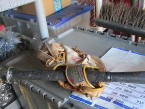 lot 225 image: EASTON baseball bat with MIZUNO baseball glove