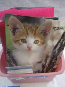 lot 328 image: Divided organizers- folders- thank you notes and more