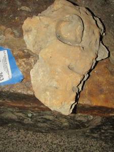 lot 363 image: rock with what appears to have a heart in middle