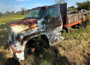 lot 1 image: 1980 CHEVROLET CUSTOM DELUXE V8-70 TRUCK  FLATBED , HAS DUMP LIFT , FAMILY STATES THEY HAVENT DRIVEN IT IN 10 YEARS,  CAPACITY 3 TON,  TITLE IN HAND