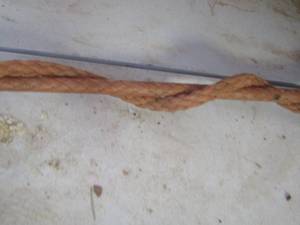 lot 250 image: Whip