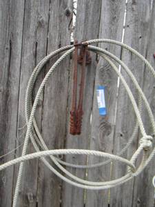 lot 515 image: LARIAT  PLUS