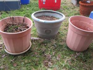 lot 523 image: 3 large outdoor planter pots