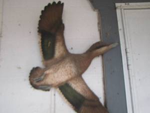lot 654 image: dcor wall ducks qty 2