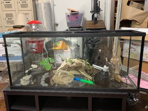lot 134 image: Aquarium