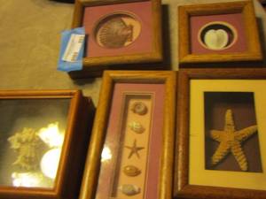 lot 893 image: framed seashell art