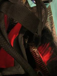 lot 1004 image: insulated bag- various reusable bags