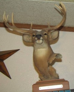 lot 711 image: DEER  MOUNT