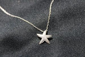 lot 99 image: Sterling Silver cable chain 19L necklace with sterling pendant in star fish form. Marked 925 on both spring ring clasp and back of pendant.