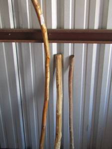 lot 25 image: Walking sticks qty 3