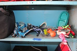 lot 65 image: Dog leases and harnesses and more