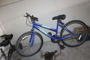 lot 89 image: Blue Roadmaster Mt. Fury Bicycle