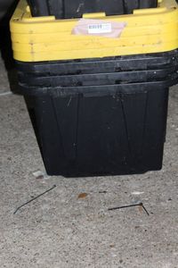 lot 111 image: Heavy Duty Totes 27 Gallon