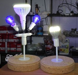 lot 30 image: Two Lamps with Bulbs